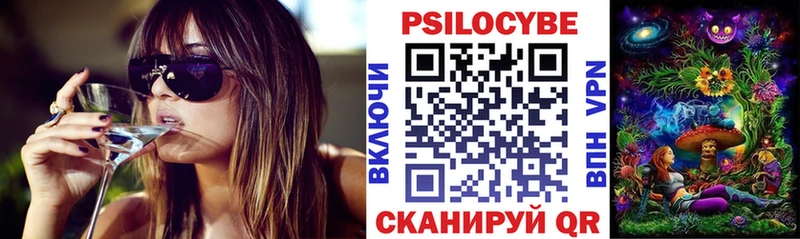 закладка  Кириши  Галлюциногенные грибы Psilocybine cubensis 